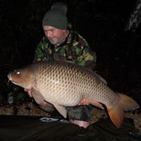 Ray Archer Photo 18