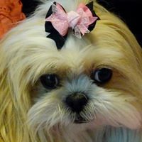 Joann Gruber Photo 6