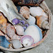 Deborah Shell Photo 8