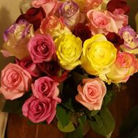 Tammy Humphries Photo 12
