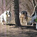 Dixie Spencer Photo 16
