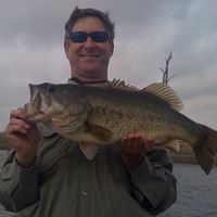 Curt Bateman Photo 2