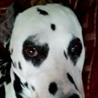 Jeanette Barlow Photo 6