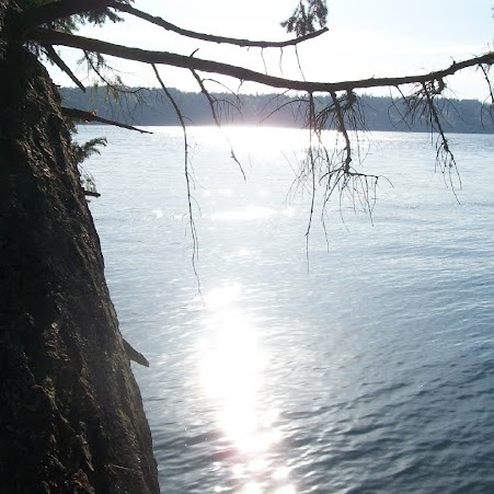 Gloria White Photo 40