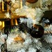 Carol Weiss Photo 17