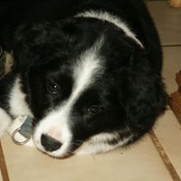 Doreen Robinson Photo 2
