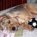 Annie May Photo 29