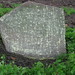 Mary Whitehead Photo 18