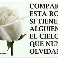 Yesenia Rodriguez Photo 10