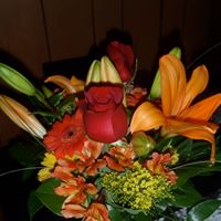Elizabeth Nett Photo 5