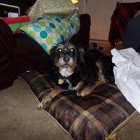 Cindy Mayo Photo 26