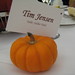 Melissa Stratton Photo 22