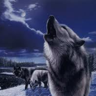 Timothy Tolbert Photo 8