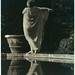 Ruth Walter Photo 16