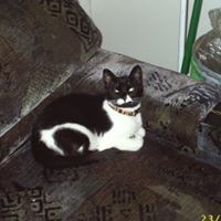 Connie Whalen Photo 15