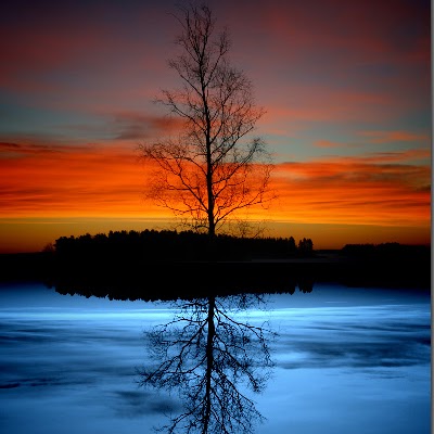 Andrea Erickson Photo 35