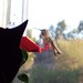 Heather Santee Photo 11