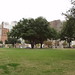 Gail Moses Photo 22