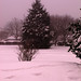 Misty Curtis Photo 18