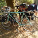 Debbie Bianchi Photo 16