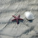 Christine Halverson Photo 18