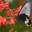 Debra Potter Photo 22