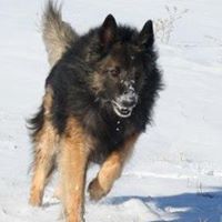 Donna Locke Photo 25