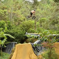 Alan Cameron Photo 25