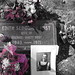 Kenneth Rose Photo 10