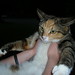 Thomas Tibbs Photo 10