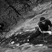 Steve Pollard Photo 8