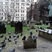 John Watts Photo 51