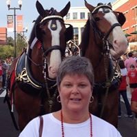 Judy Sampson Photo 9