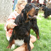 Cheryl Groves Photo 21