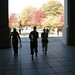 Susan Waddell Photo 13