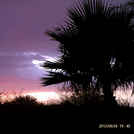 Michelle Carroll Photo 9