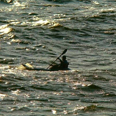 Chad Wolfe Photo 6
