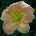 Elsie Fuller Photo 8