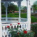 Rose Richmond Photo 17