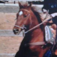 Jennifer Kieffer Photo 20