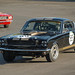 Andrew Ford Photo 24
