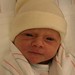 Bradley Connor Photo 7