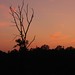 Jeanne Locke Photo 11