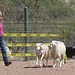 Kimberly Olson Photo 16