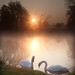Kevin Swan Photo 24