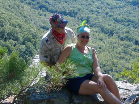 Cindy Lane Photo 18