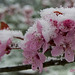 Randall Welch Photo 16