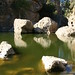 Nicholas Rodgers Photo 15