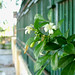 Thang Doan Photo 28