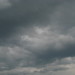 Ted Grey Photo 4